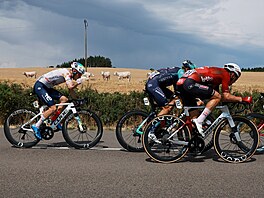 Cyklisté v úniku na Tour de France.