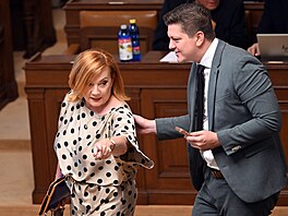 Ministryn� financí  Alena Schillerová (ANO) a  Patrik Pa�il (ANO) na...