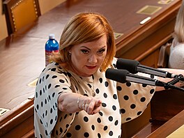 Ministryn� financí Alena Schillerová p�i jednání o zákonu o elektronické...