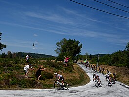 Peloton i s Tadejem Poga�arem ve �lutém dresu b�hem deváté etapy Tour de France