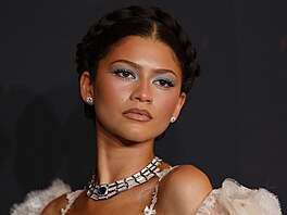 �eckou bohyni tentokrát Zendaya p�ipomínala p�edev�ím ú�esem a �perky.