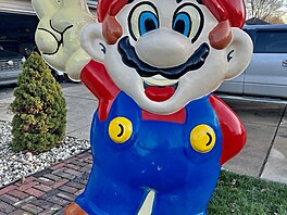 Super Mario socha