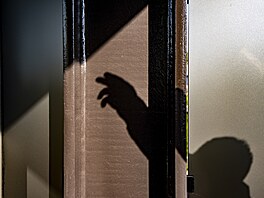 Svislé prvky balkonové fasády nejsou hlavní nosnou konstrukcí hotelu, ale...