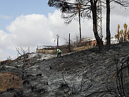 Lesní po�ár ve �tvrtek pozd� odpoledne vypukl v provincii Almería ve �pan�lské...