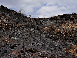 Lesní po�ár ve �tvrtek pozd� odpoledne vypukl v provincii Almería ve �pan�lské...