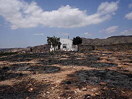Následky lesního po�áru v provincii Almería ve �pan�lské Andalusii. (12....