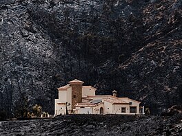 Následky lesního po�áru v provincii Almería ve �pan�lské Andalusii. (12....