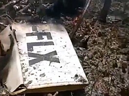 Pád letadla na Bahamách: 10 mrtvých (10. �ervence 2026)