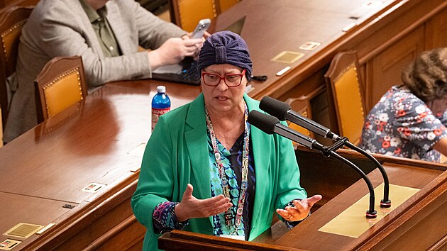 Jedn�n� Poslaneck� sn�movny. Na sn�mku Berenika Pe�tov� (SPD) hovo�� k autonehod� Filipa Turka. (14. �ervence 2026)