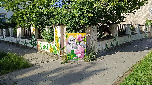 Box s portr�tem Eli�ky Junkov�