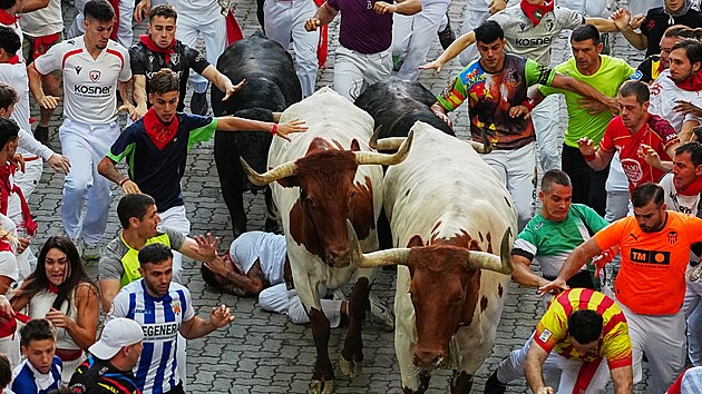 Tradi�n� b�h s b�ky ve �pan�lsk�m m�st� Pamplona. (14. �ervence 2026)