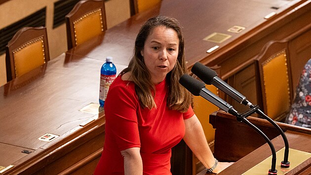 ��fka poslanc� STAN, m�stop�edsedkyn� hnut� vyzvala ve Sn�movn� Filipa Turka:  �Filipe Turku, ru�n�k do ringu, slo�te poslaneck� mand�t.�