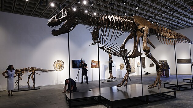 Auk�n� s�� Sotheby�s p�edstavila letn� sezonu dra�eb. Nejv�t�� pozornost upoutala kostra Tyrannosaura rexe p�ezd�van�ho Gus Rex s odhadn� hodnotou 20 a� 30 milion� dolar�. (2. �ervence 2026)