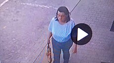 Policist�© pátraj�­ po dvaašedesátilet�© ženÄ� z Ochozi u Brna, je psychicky nemocná