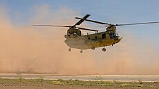 Americký armádní vrtulník CH-47 Chinook b�hem cvi�ného letu na Blízkém východ�....