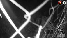 Policie na Náchodsku zadr�ela recidivistu