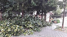 �kody po st�ede�ních bou�kách v ulicích Brna. (15. �ervence 2026)