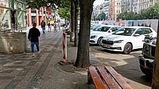 Stavba tramvajové trati na Václavském nám�stí a prom�na jeho okolí (stav...