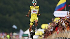 Slovinec Tadej Poga�ar slaví triumf ve 14. etap� Tour de France.