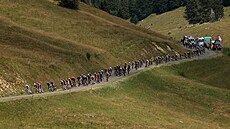 Peloton v poho�í Jura b�hem 15. etapy cyklistické Tour de France