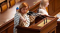 Jednání Poslanecké sn�movny. Elektronická evidence tr�eb. Na snímku Alena...