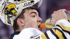 Filip R��i�ka ve výstroji Brandon Wheat Kings.