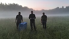 Srn�ata se nejlépe vyhledávají brzy ráno, kdy� je chladno, to na obrazovce...