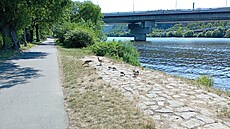 Praha-Braník