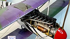 Albatros D.V 1/32 Wingnut Wings