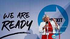 �lenka britské strany Reform UK (d�íve Brexit party) a europoslankyn� Ann...