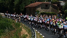 Peloton b�hem desáté etapy Tour de France