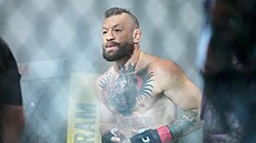 McGregor po p�ti letech vstupuje znovu do klece organizace UFC. Netu�il, �e po...