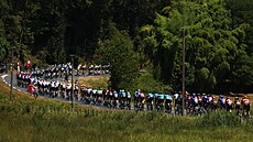 Peloton Tour de France b�hem 8. etapy.