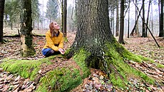 Nejvy��í podporu v jarní vln� programu �SOB pomáhá region�m získal projekt...