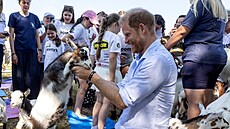 Princ Harry na kozí józe b�hem Scotty�s Summer Festival na zámku Maxstoke ve...