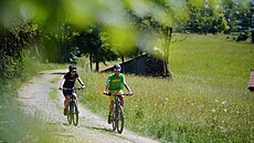 Vala�sko. Foto: CCRVM