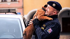 �t�n� policejního psa Palermo v prosinci 2024