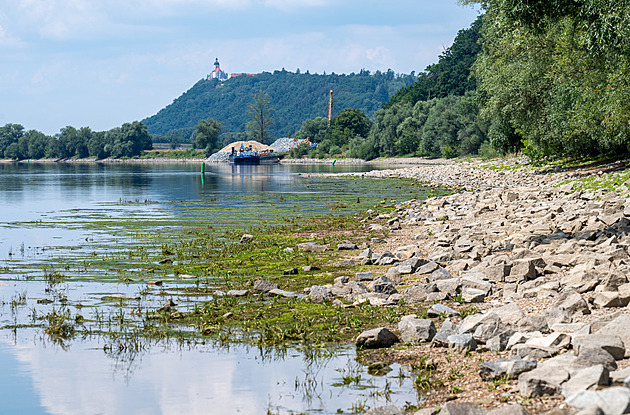 Low Danube levels halt shipping in Bavarian gorge, impacting tourism