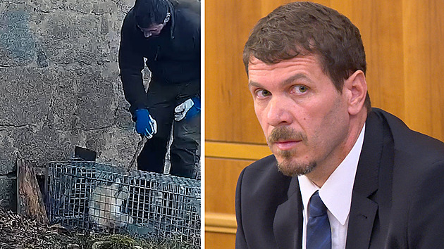 Klackem jsem do koček šťouchal, chtěl jsem je vypustit, hájil se bývalý lesník