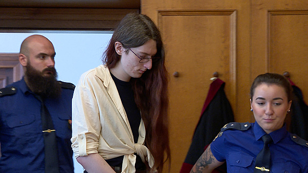 Žena bodla expartnera, protože si to přál. Nelze aprobovat, řekl soud a uložil jí 7 let