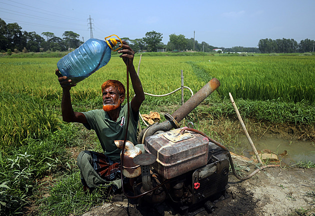 Diesel Crisis Hits Poor Farmers in Africa and Asia, Threatening Food Security