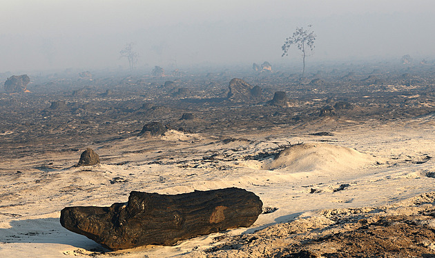 Hořící Francie se hádá kvůli požárům. Opozice tepe Macrona, vláda se brání