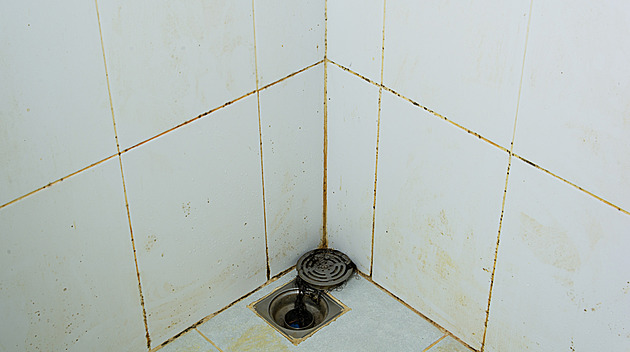You ventilate your bathroom diligently and mold returns. The mistake is the ventilation duration
