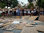Kyjev. Protest proti odvolání Mychajla Fedorova z pozice ukrajinského ministra...