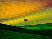 Oce�ovaný fotograf Zden�k Vo�ický se zam��uje na p�írodu a krajinu ji�ní...