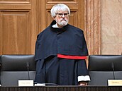 Ústavní soudce Pavel �ámal.