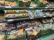 Prodejna Lidl v Londýn� 21.7. 2026