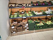 Prodejna Lidl v Londýn� 21.7. 2026