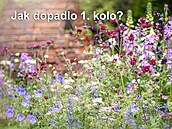 Jak dopadlo hlasování �tená�� v 1. kole sout�e Nejkrásn�j�í zahrada?