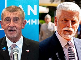 Premiér Andrej Babi� (vlevo) a prezident Petr Pavel na summitu NATO v turecké...